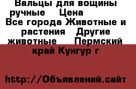 Вальцы для вощины ручные  › Цена ­ 10 000 - Все города Животные и растения » Другие животные   . Пермский край,Кунгур г.